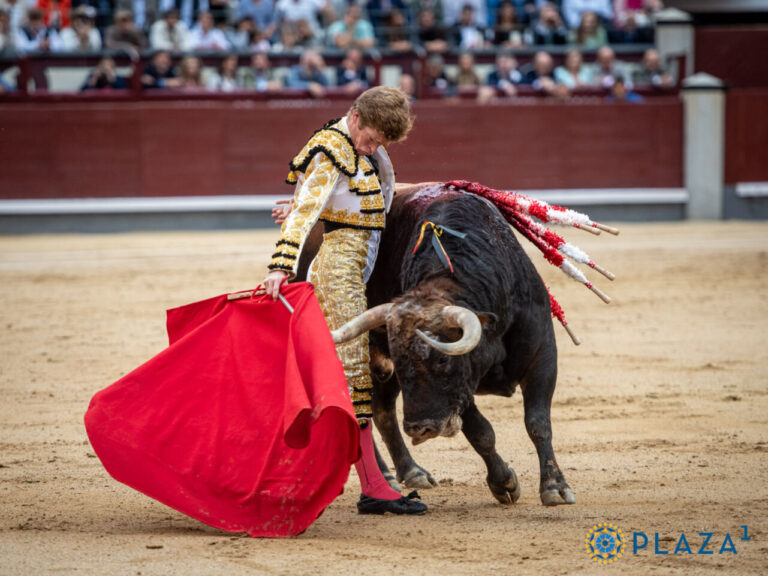 Une réelle opportunité | mundotoro.com