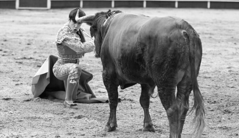 Mario Vilau: le porte-drapeau de la tauromachie en Catalogne