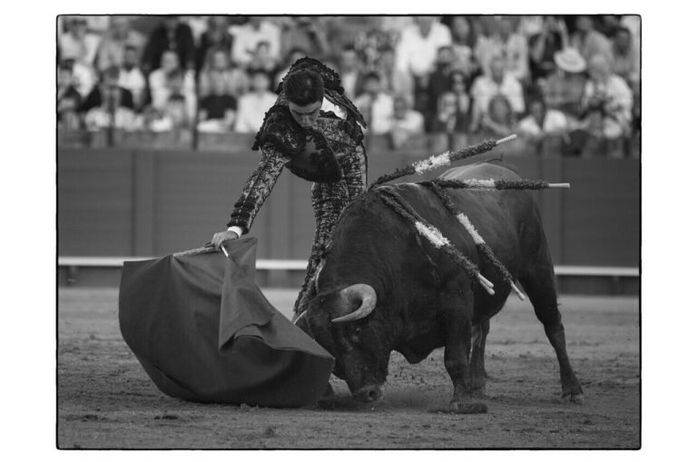 Rafael Molina, représentant d'El Parralejo : « Nous cherchons à avoir un ranch ouvert dans lequel se trouvent des taureaux de toutes sortes et avec lequel le torero puisse à la fois exprimer sa tauromachie et réussir »