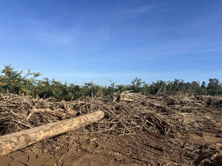 Le véritable changement écologique | mundotoro.com