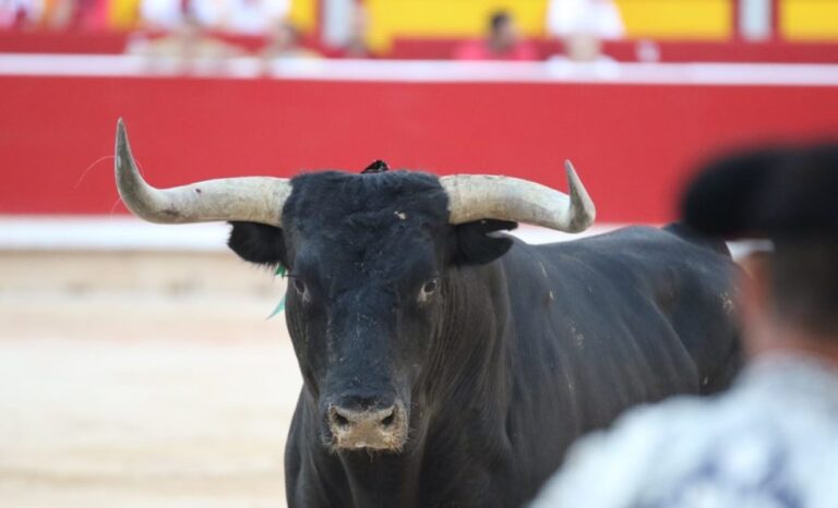 Álvaro Núñez fait ses débuts à la Foire aux taureaux de Pampelune