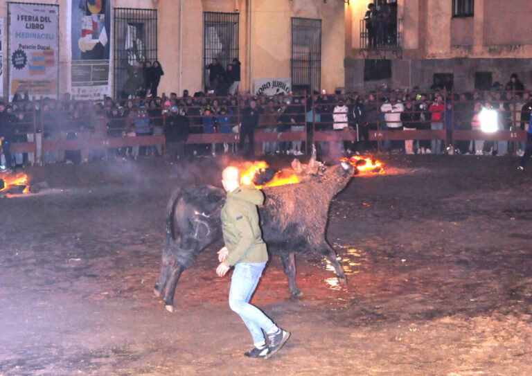 Enrique Riosalido, président de l'Association Toro Jubilo : « Le caprice d'une personne qui ne connaît ni le village ni la tradition a détruit l'enthousiasme des habitants de Medinaceli »