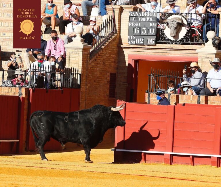 Fuente Ymbro revient à Séville