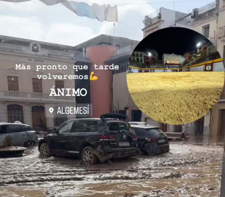 Juan Alberto Torrijos, après le passage de DANA par Algemesí : « Cela a été une véritable tragédie, mais Algemesí est très fort et s'en sortira »