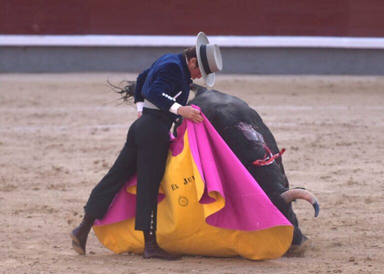 La tauromachie appelle « El Juli » comme allié des festivals caritatifs DANA