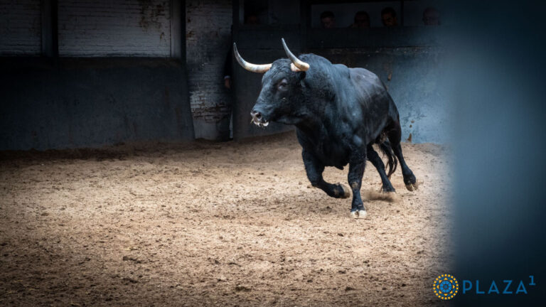 Le 2025 de Fuente Ymbro : Quatre après-midi à Madrid et le double retour à Séville