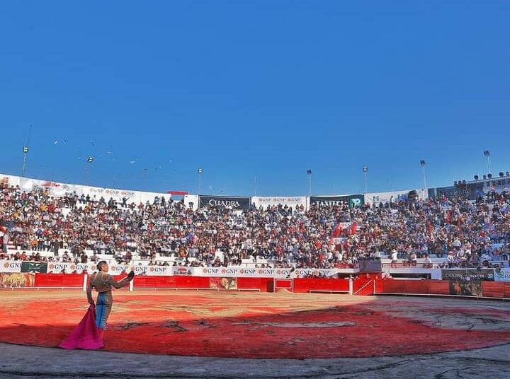 L'offensive animale au Mexique continue: le parti vert de Guanajuato propose une loi pour la célébration des incrustes