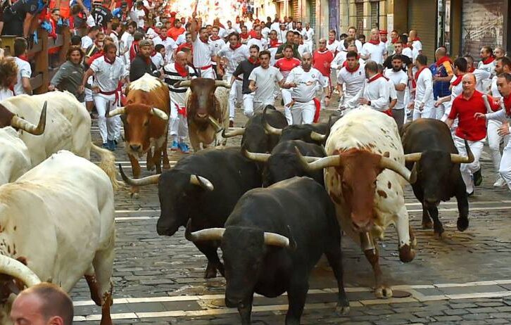 Pampelune opte une nouvelle fois pour la continuité dans les élevages de San Fermín