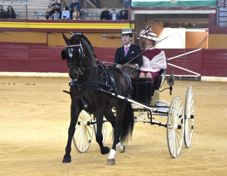 Sebastián Fernández et « Judío », gagnants du concours d'attelage Atarfe