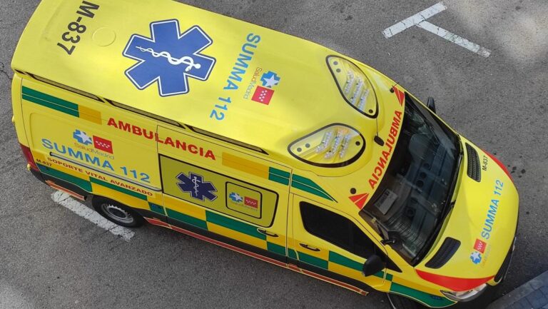 Un homme est mort après avoir été encorné par une vache dans une ferme de Guadalix de la Sierra