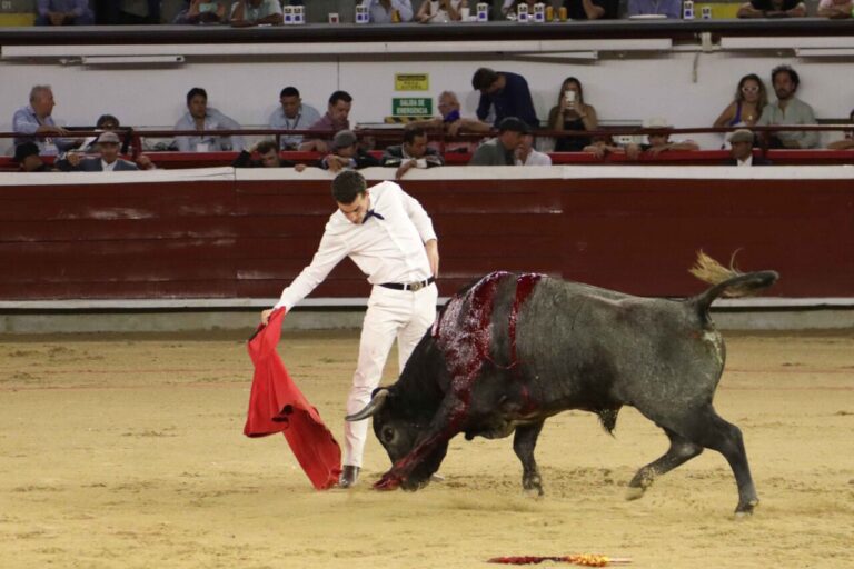 Antonio Ferrera et Fernando Adrián triomphent à la traditionnelle fête de Cali