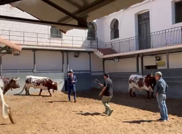 C'est ainsi qu'a été enregistrée la vidéo virale de l'année avec Cristian Ventura et Florito à Las Ventas