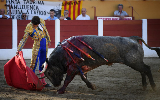 Ceret annonce l'exploitation d'élevage qui remplacera celle de Juan Luis Fraile