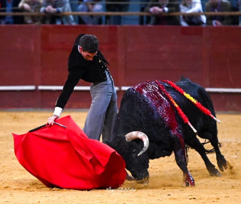 Fernando Adrián et « Lindo » : l'émotion de la tauromachie et du courage