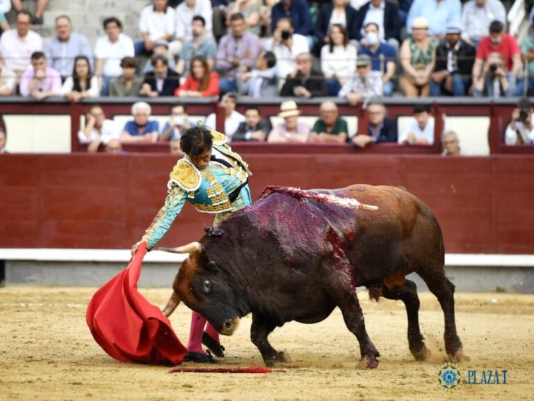 Joselito Adame, parmi les cinq toreros mexicains qui ont le plus combattu en Europe