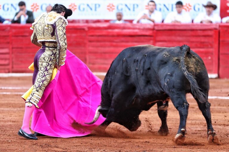 Juan Ortega et une tâche pour rêver de corrida à La México (Vidéo)