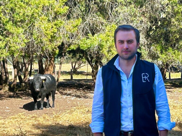 L'élevage de bovins El memoria inaugure ce vendredi à Morelia
