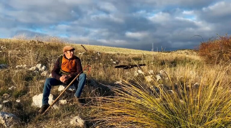 Les racines de La Mancha, au centre de la campagne « Offrez un miracle à Noël » à la Foire d'Illescas