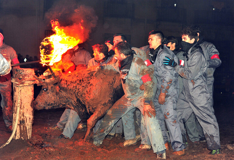 Les toreros de Soria s'unissent pour défendre le Toro Jubilo de Medinaceli