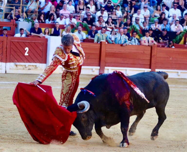 Manuel Escribano, Victorino Martín, Marco Pérez et Borja Escudero sont les vedettes ce vendredi des prix taurins de la « Ville d'Alicante »