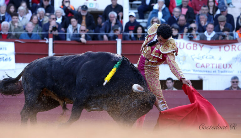 Morenito de Aranda poignardera six taureaux seul à Vic