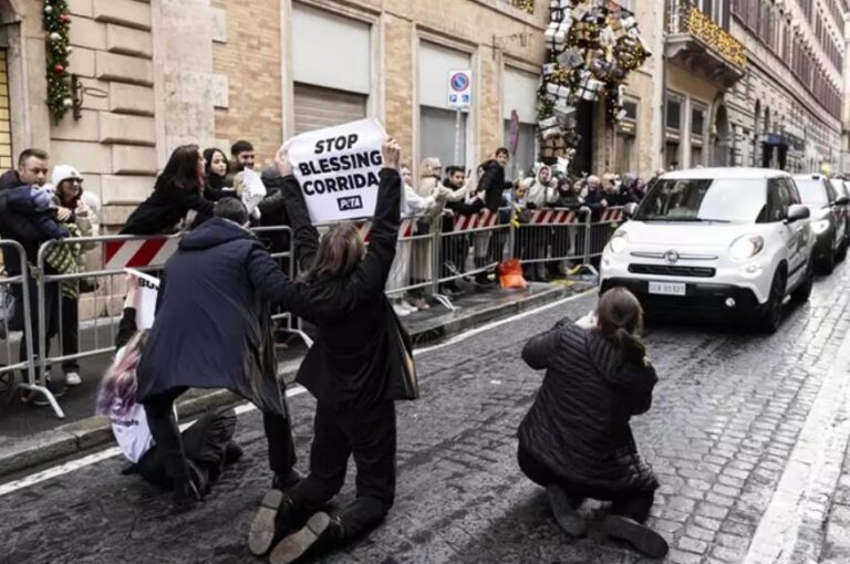 PETA perd la tête : des militants arrêtés alors qu'ils tentaient de demander au pape de condamner la corrida