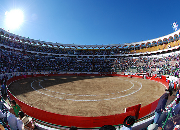 Ponce, Pablo Hermoso, Roca Rey et Talavante : les grandes incitations pour le retour des taureaux à Guadalajara