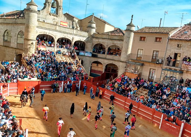 Ponce, Talavante, Ortega, Luque, Perera…, figures du Carnaval Taureau de Ciudad Rodrigo