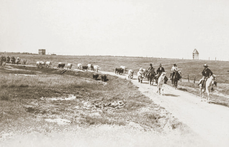 Présenté à Séville le livre 'Mémoires du Campo Bravo. Cent ans de photographie inédite 1860-1960'