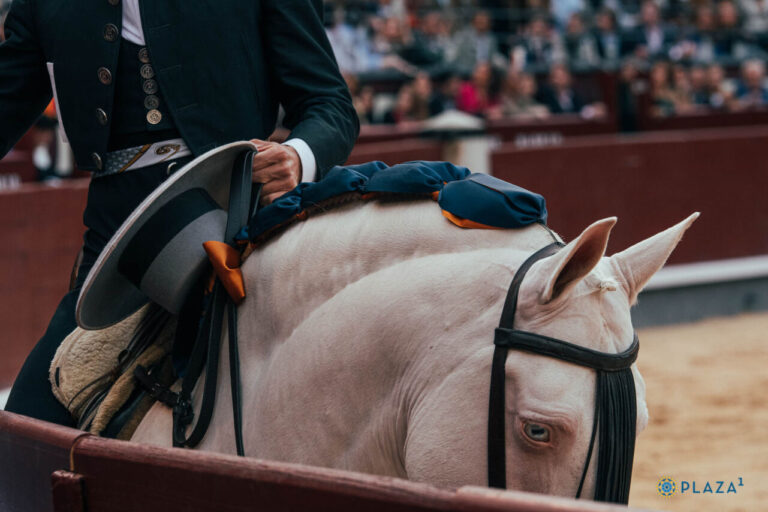 SOS rejones : 2024 certifie une augmentation des corridas et des corridas et une autre réduction des corridas à cheval