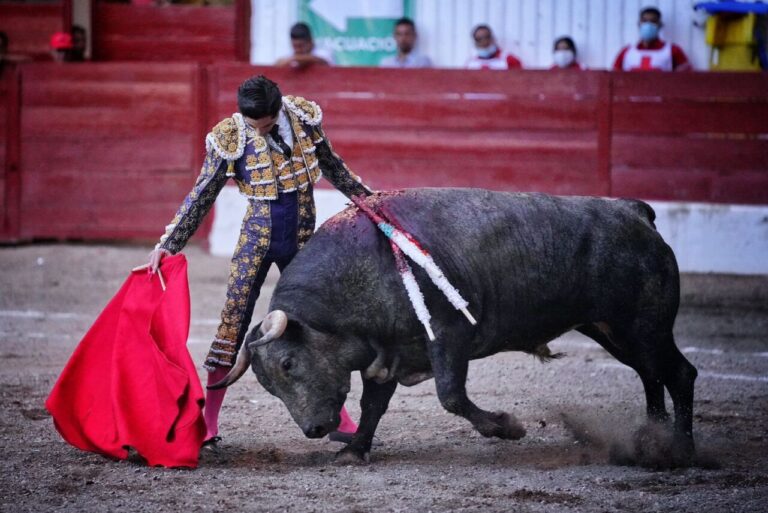 'Armilita IV' et Antonio Ferrera, annoncés à Jalostotitlán