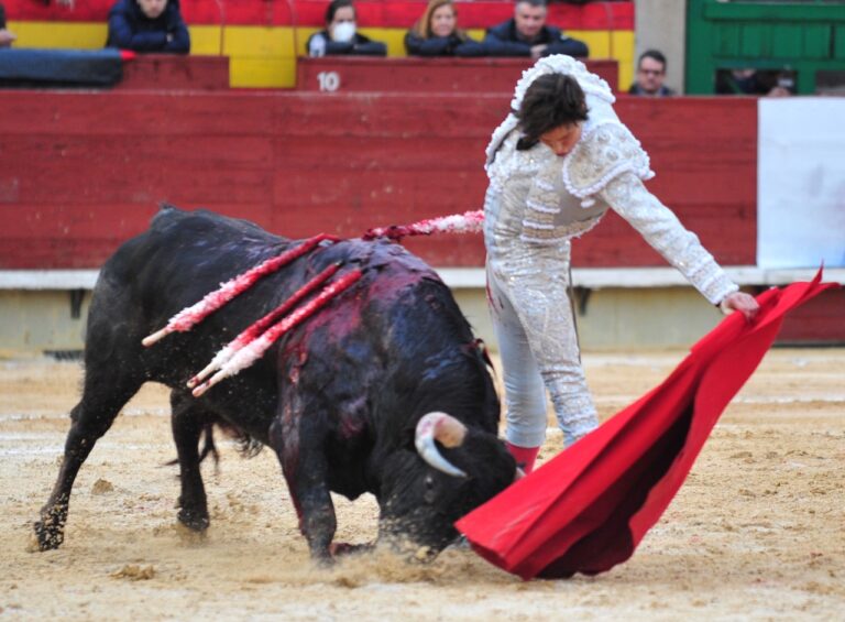 Castellón récupère la corrida et annonce une corrida extraordinaire en juin
