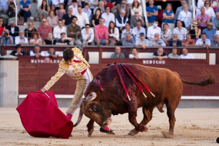 Christian Parejo, un an après une confirmation exceptionnelle à Las Ventas