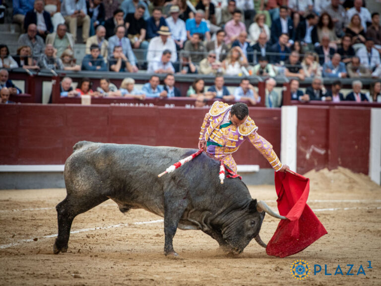 Damián Castaño, grand protagoniste de l'Association El Toro de Madrid