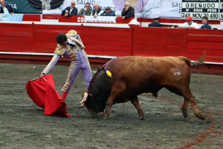 Importante corrida de Mondoñedo au début de la foire de Manizales