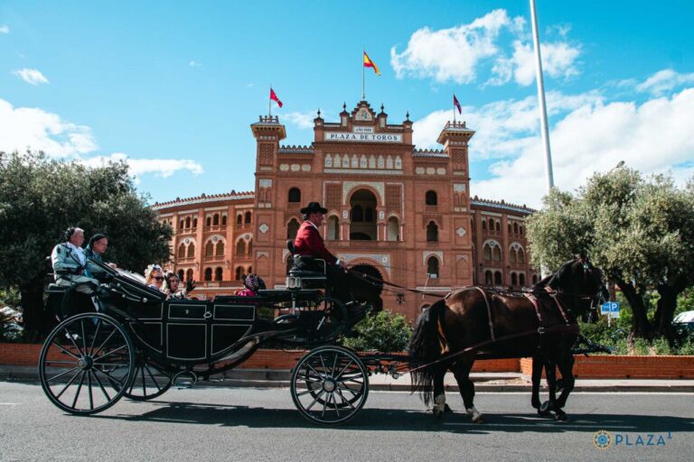 Le 2 mai à Las Ventas : une pancarte avec Madrid comme drapeau