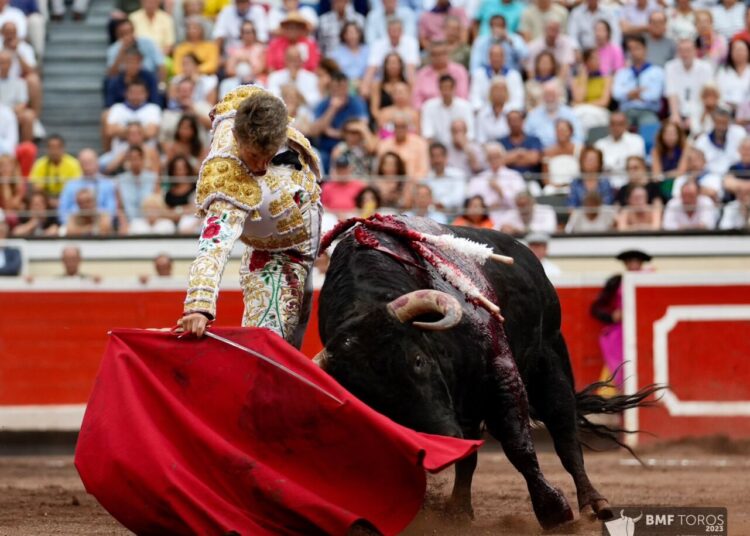 Manuel Escribano définit son équipe pour la saison 2025