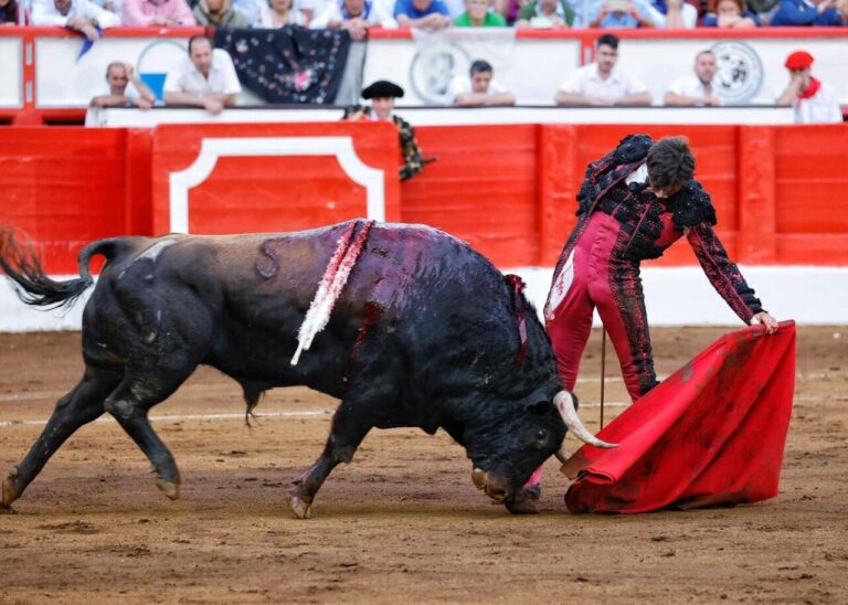 Roca Rey à la tête de l'affiche caritative de Morelia
