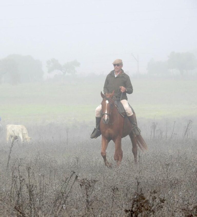 Tomás Prieto de la Cal : « La ferme est très affectée par les pluies. Nous avons 200 hectares sous l'eau et il manque trois étalons.