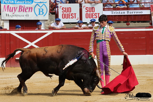 Tristán Barroso, alternative à la vitole