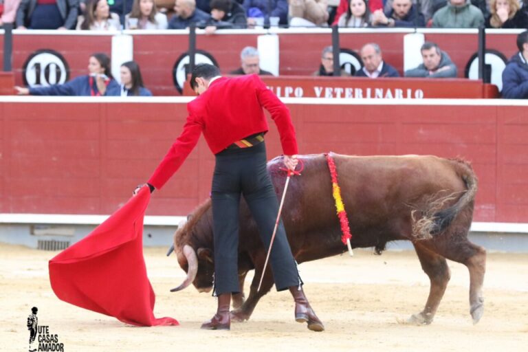 Alejandro Talavante: le triomphe du taureau, ainsi que de l'agriculteur