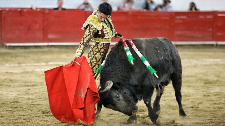 Alejandro Talavante revient à Guadalajara ce samedi: dernière nomination dans sa saison américaine réussie