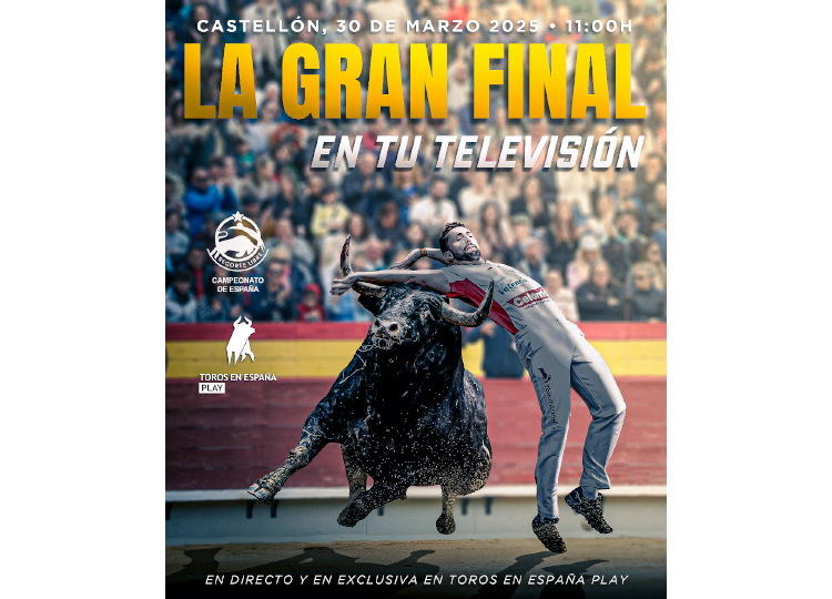 Bulls en Espagne jouent, présent à la grande finale du Championnat de Castellón des artisans espagnols