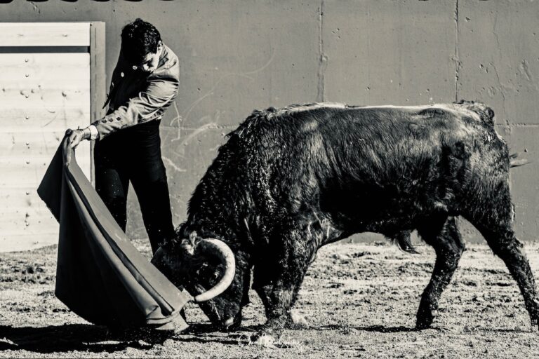 Diego García: Objectif, Madrid | Mundotoro.com