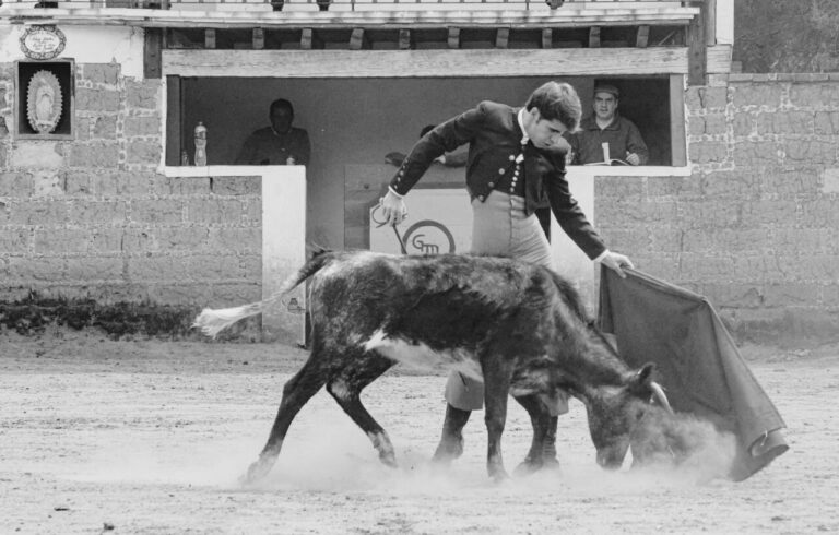 Fernando Plaza: Ajoute et continue dans le mexicain Bravo Campo (galerie)