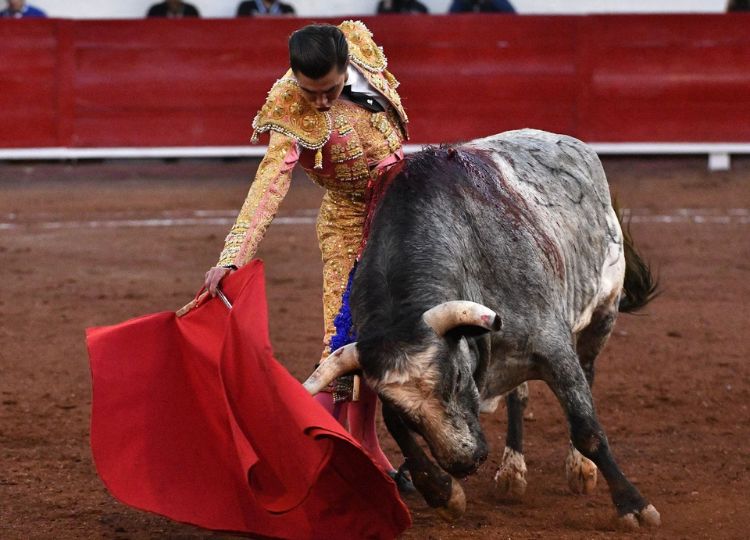 Performance ferme par Bruno Aloi, qui coupe trois oreilles à Aguascalientes