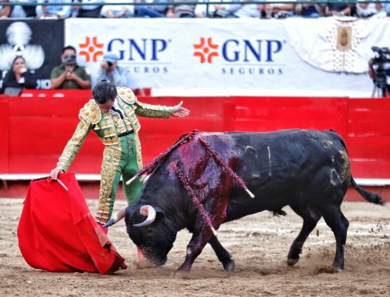 Une tâche tempérée de Juan Ortega et le domaine de Juan Pablo Sánchez se démarque à Guadalajara