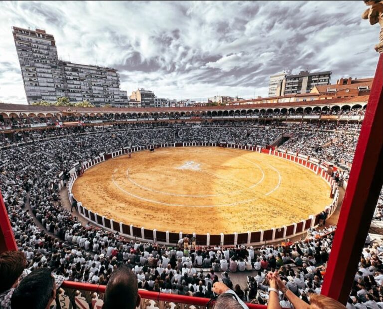 Valladolid annonce une distribution de bétail de luxe pour sa foire de septembre