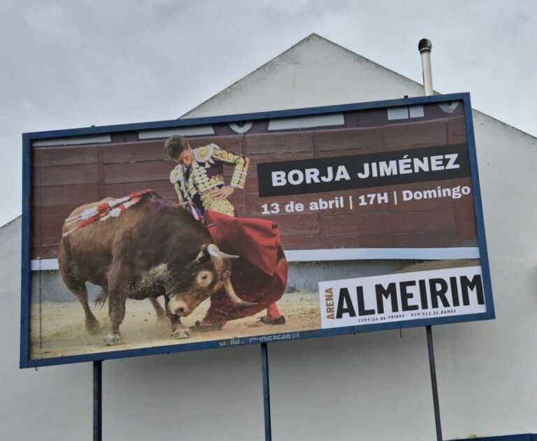 Almeirim: Bullfighting sort pour son grand rendez-vous de Palm Sunday