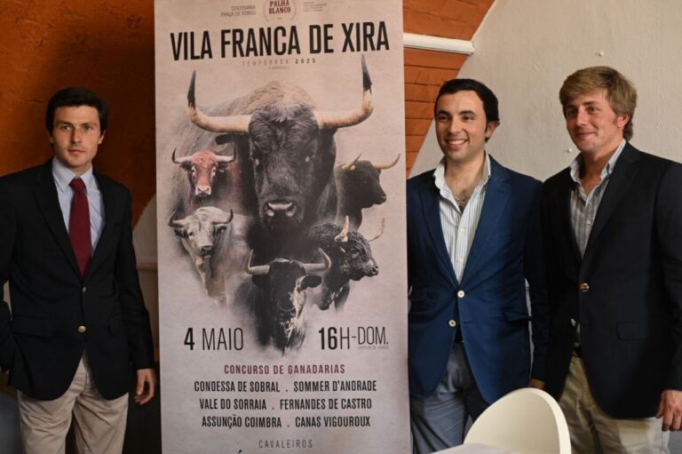 Castella, Tomás Bastos et Morteira sérieux, grandes incitations de la saison de Vila Franca de Xira